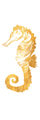 Image Not Available